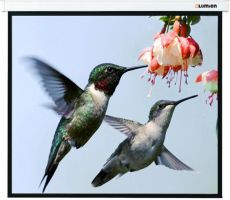Экран для проектора Lumien Master Picture 128х171 LMP-100108 White экран для проектора